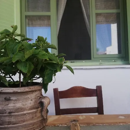 Eva'S Family & Pernera'S Vegan Studios Apartment *
