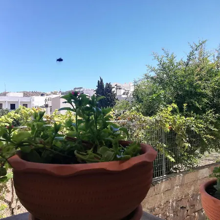 Eva'S Family & Pernera'S Vegan Studios Apartment *